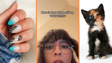 The new nails and kitty TikTok video, explained .